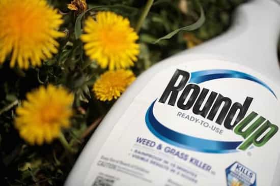 roundup1 roundup1